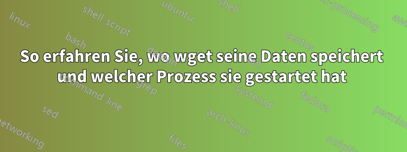 So erfahren Sie, wo wget seine Daten speichert und welcher Prozess sie gestartet hat