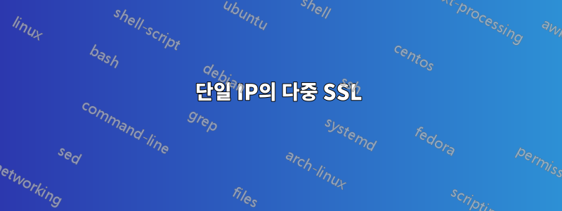 단일 IP의 다중 SSL