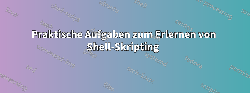 Praktische Aufgaben zum Erlernen von Shell-Skripting 