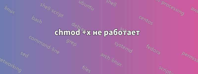 chmod +x не работает 