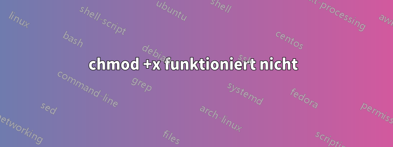 chmod +x funktioniert nicht 