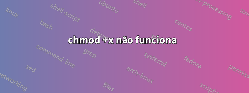 chmod +x não funciona 