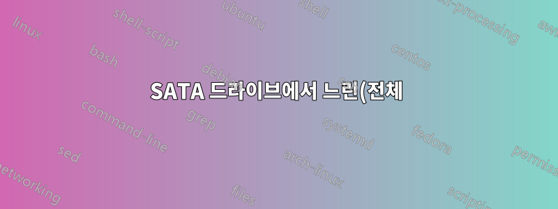 SATA 드라이브에서 느린(전체) 포맷을 수행할 수 없습니다.
