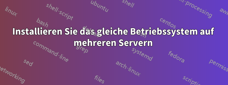 Installieren Sie das gleiche Betriebssystem auf mehreren Servern