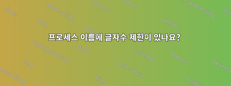 프로세스 이름에 글자수 제한이 있나요?