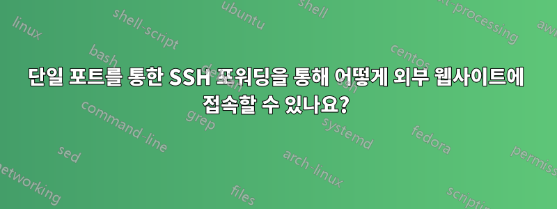 단일 포트를 통한 SSH 포워딩을 통해 어떻게 외부 웹사이트에 접속할 수 있나요?