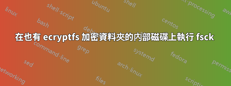 在也有 ecryptfs 加密資料夾的內部磁碟上執行 fsck