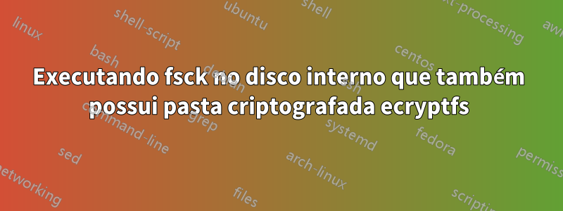 Executando fsck no disco interno que também possui pasta criptografada ecryptfs