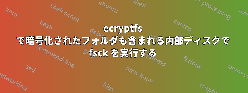 ecryptfs で暗号化されたフォルダも含まれる内部ディスクで fsck を実行する