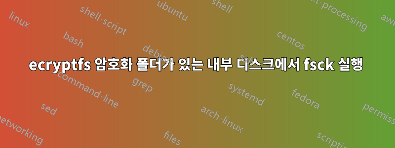 ecryptfs 암호화 폴더가 있는 내부 디스크에서 fsck 실행