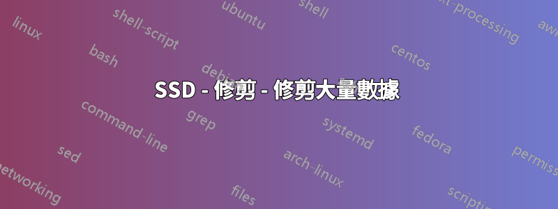 SSD - 修剪 - 修剪大量數據