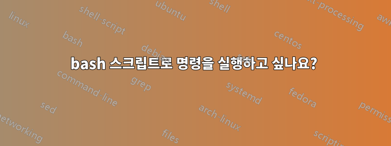 bash 스크립트로 명령을 실행하고 싶나요?