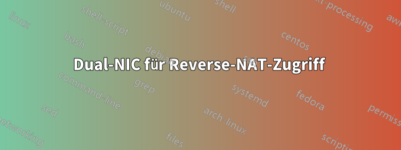 Dual-NIC für Reverse-NAT-Zugriff