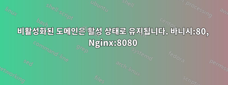 비활성화된 도메인은 활성 상태로 유지됩니다. 바니시:80, Nginx:8080