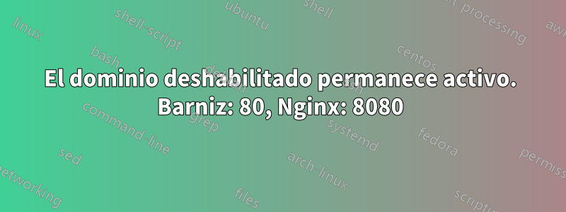 El dominio deshabilitado permanece activo. Barniz: 80, Nginx: 8080