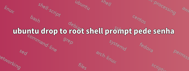 ubuntu drop to root shell prompt pede senha