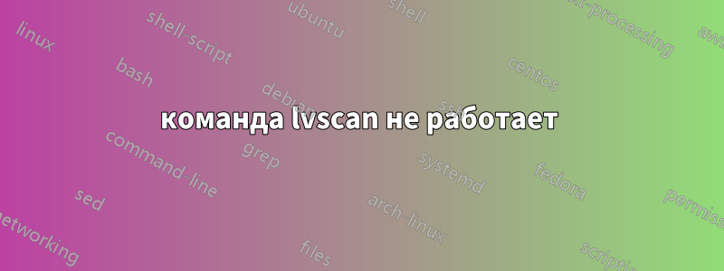 команда lvscan не работает