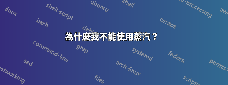 為什麼我不能使用蒸汽？ 