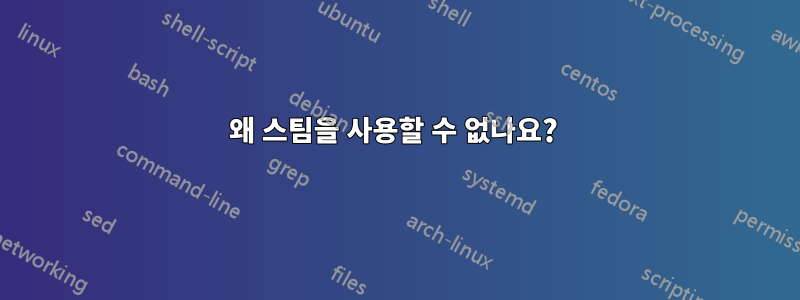 왜 스팀을 사용할 수 없나요? 