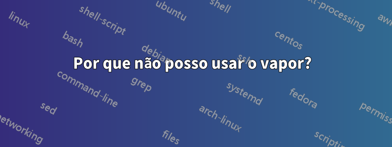 Por que não posso usar o vapor? 