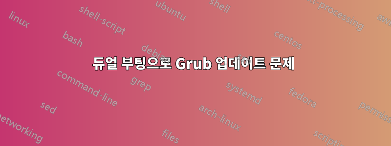 듀얼 부팅으로 Grub 업데이트 문제