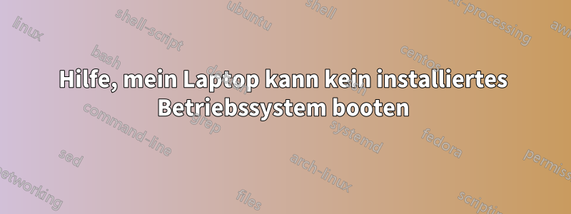 Hilfe, mein Laptop kann kein installiertes Betriebssystem booten