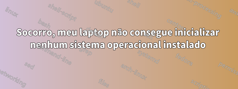 Socorro, meu laptop não consegue inicializar nenhum sistema operacional instalado