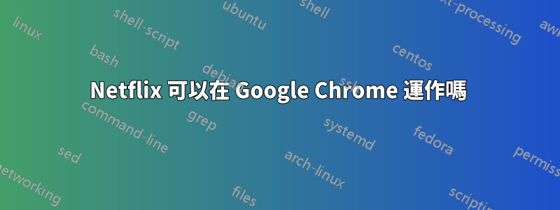 Netflix 可以在 Google Chrome 運作嗎