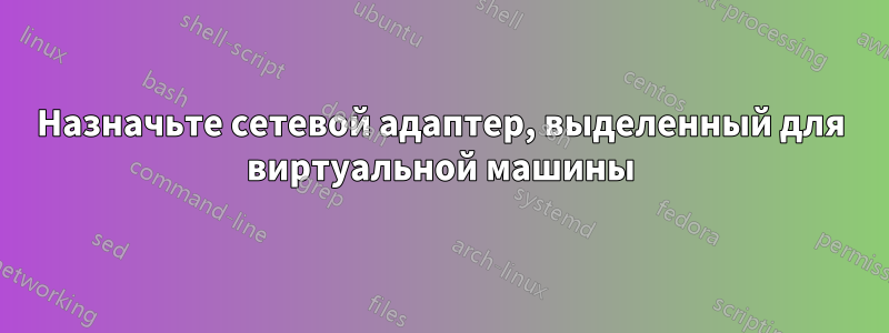 Назначьте сетевой адаптер, выделенный для виртуальной машины