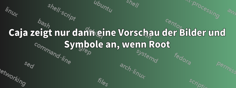 Caja zeigt nur dann eine Vorschau der Bilder und Symbole an, wenn Root