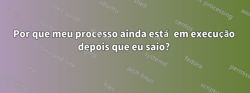 Por que meu processo ainda está em execução depois que eu saio?