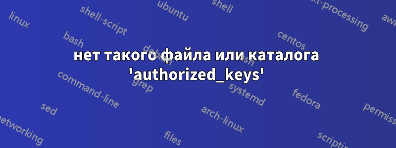 нет такого файла или каталога 'authorized_keys'