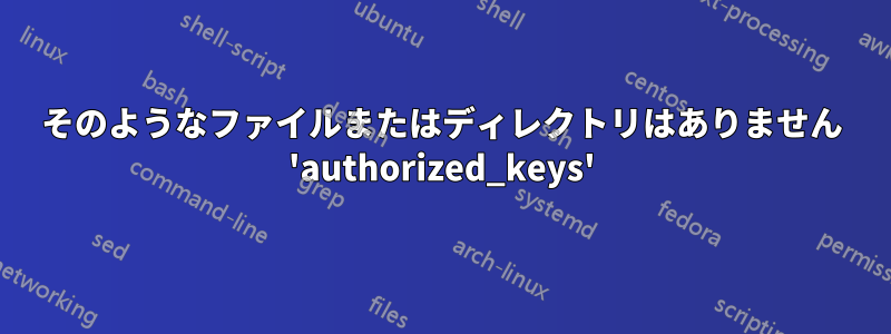 そのようなファイルまたはディレクトリはありません 'authorized_keys'