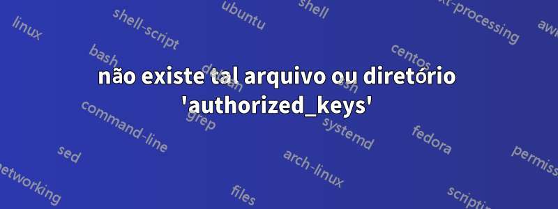 não existe tal arquivo ou diretório 'authorized_keys'