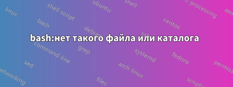 bash:нет такого файла или каталога 