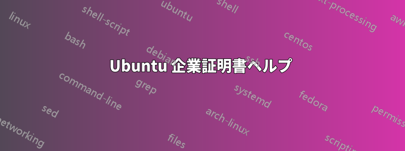 Ubuntu 企業証明書ヘルプ