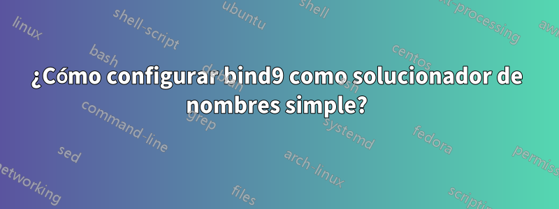 ¿Cómo configurar bind9 como solucionador de nombres simple?