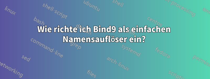 Wie richte ich Bind9 als einfachen Namensauflöser ein?