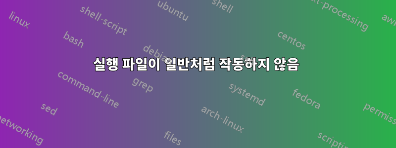 실행 파일이 일반처럼 작동하지 않음