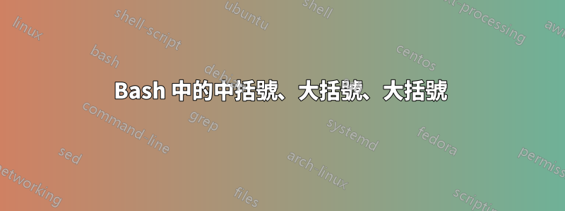 Bash 中的中括號、大括號、大括號