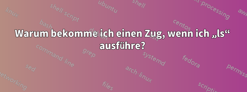 Warum bekomme ich einen Zug, wenn ich „ls“ ausführe?