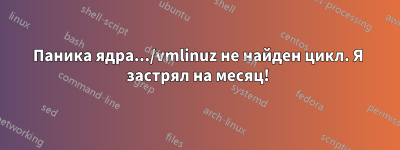 Паника ядра.../vmlinuz не найден цикл. Я застрял на месяц!