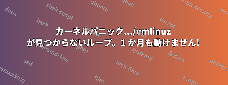 カーネルパニック.../vmlinuz が見つからないループ。1 か月も動けません!