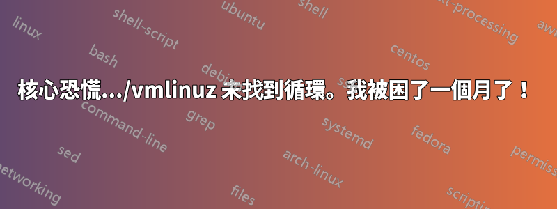 核心恐慌.../vmlinuz 未找到循環。我被困了一個月了！