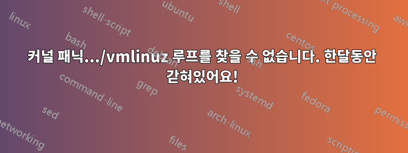 커널 패닉.../vmlinuz 루프를 찾을 수 없습니다. 한달동안 갇혀있어요!