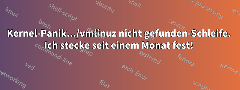 Kernel-Panik.../vmlinuz nicht gefunden-Schleife. Ich stecke seit einem Monat fest!