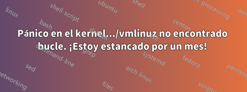 Pánico en el kernel.../vmlinuz no encontrado bucle. ¡Estoy estancado por un mes!