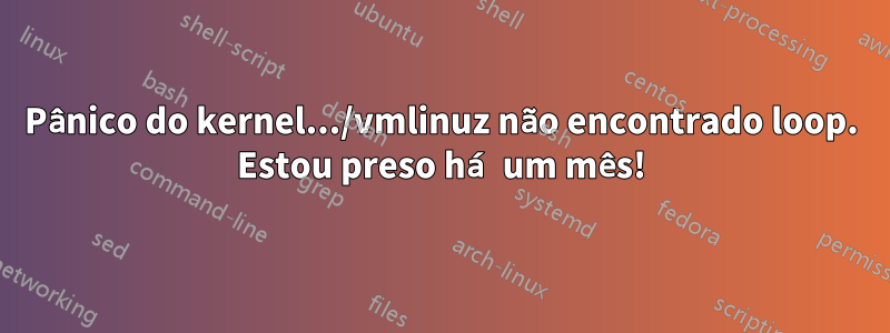 Pânico do kernel.../vmlinuz não encontrado loop. Estou preso há um mês!