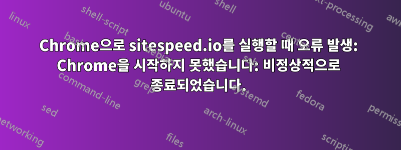 Chrome으로 sitespeed.io를 실행할 때 오류 발생: Chrome을 시작하지 못했습니다: 비정상적으로 종료되었습니다.