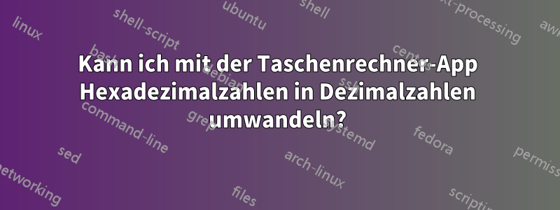 Kann ich mit der Taschenrechner-App Hexadezimalzahlen in Dezimalzahlen umwandeln?